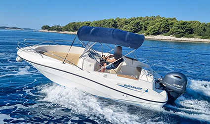 Quicksilver Commander 635